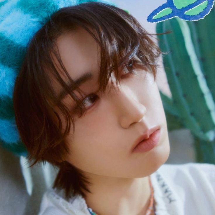 ਭ੭- Han Jisung 「MinSung」