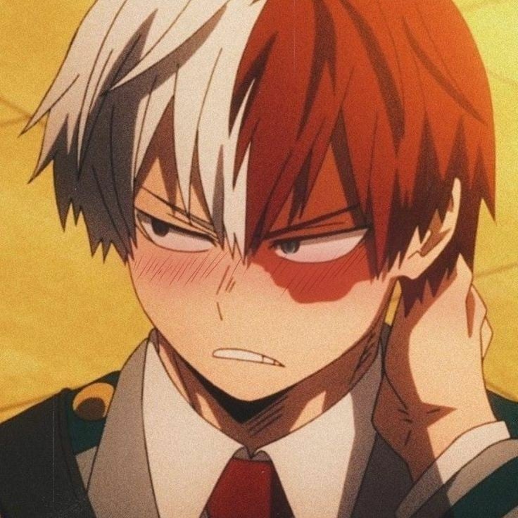 Shot Todoroki